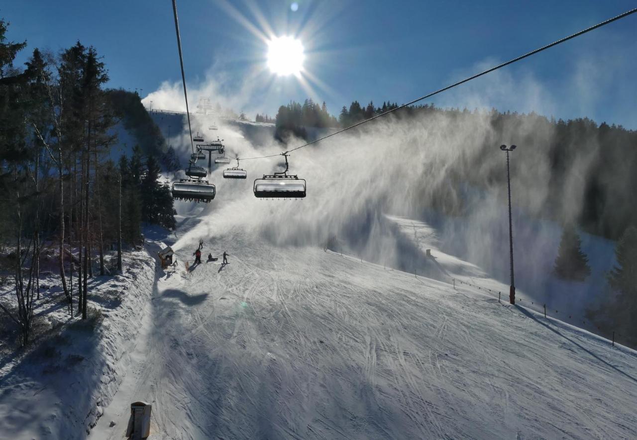 Quartier12 "Ski In & Bike Out" - Fewo Berg Willingen  Zewnętrze zdjęcie