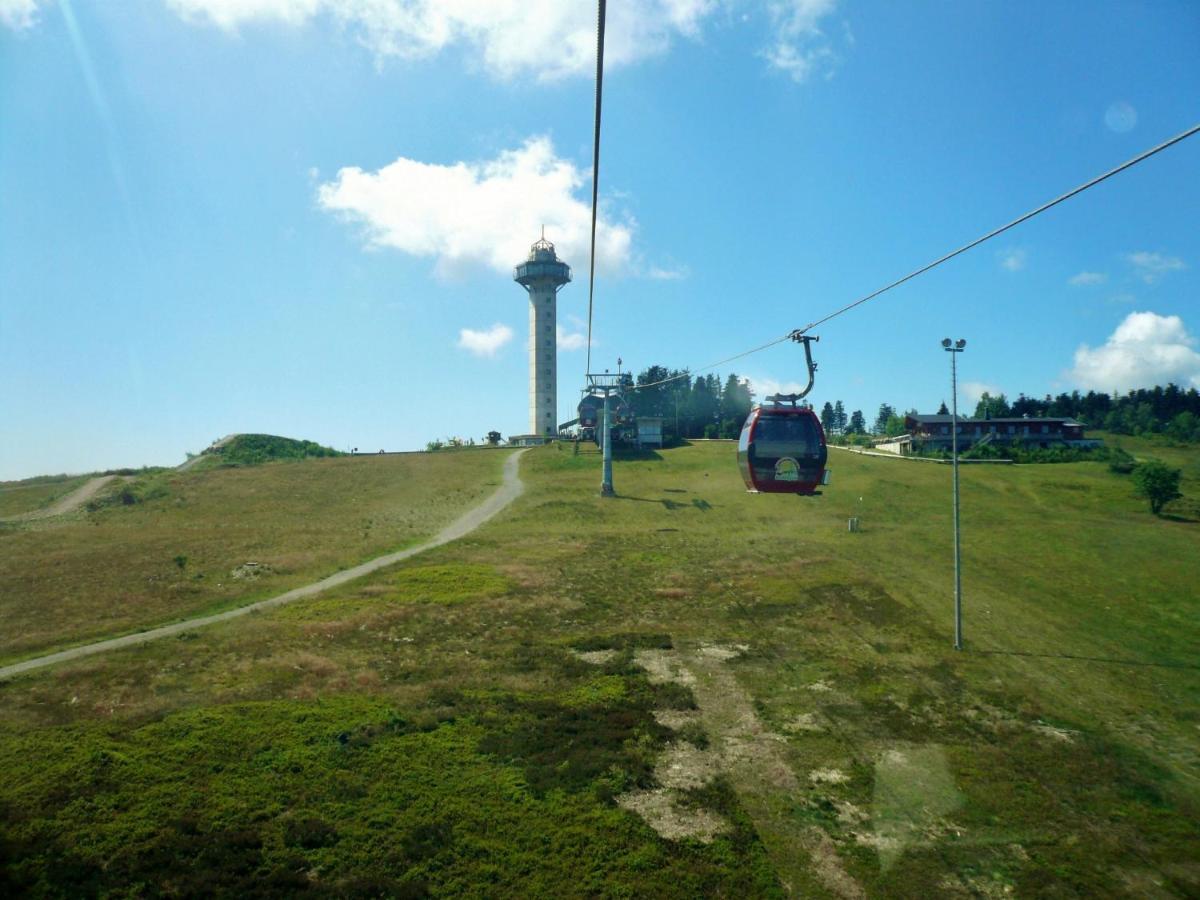 Quartier12 "Ski In & Bike Out" - Fewo Berg Willingen  Zewnętrze zdjęcie