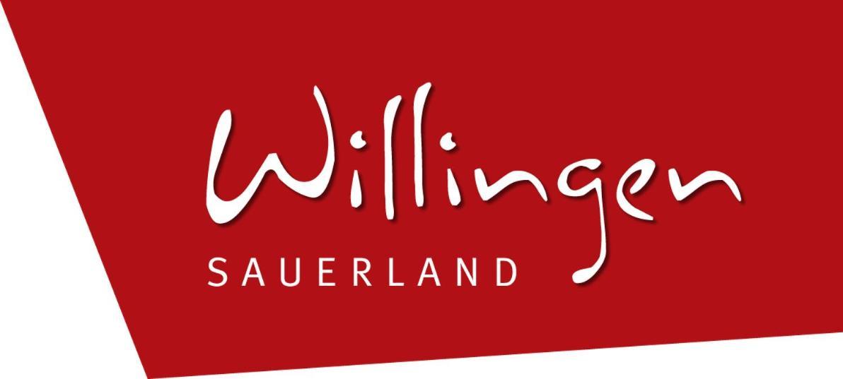 Quartier12 "Ski In & Bike Out" - Fewo Berg Willingen  Zewnętrze zdjęcie